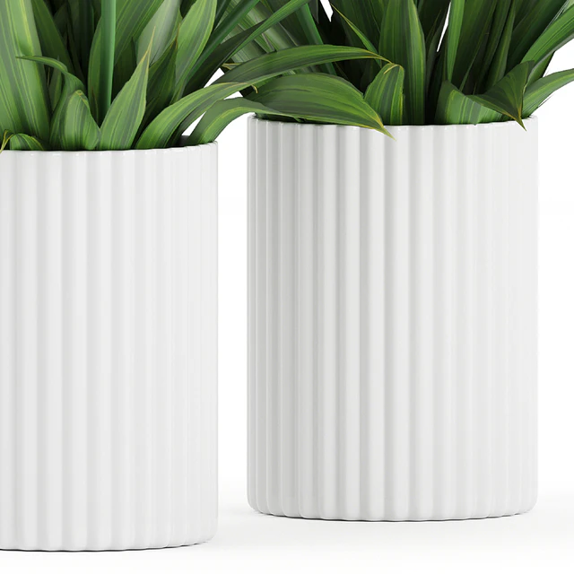 Flower Pack 250C Tulips — Descargar