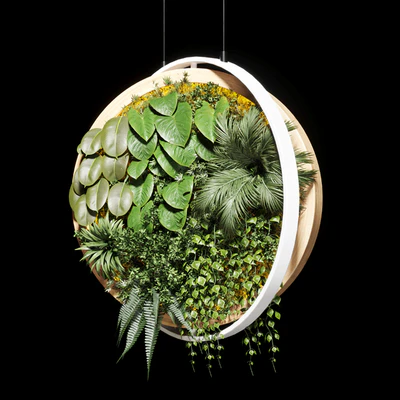 hanging garden and hanging moss in wooden frame 218 — Ver 3