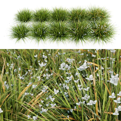 Libertia Grandiflora - 10 Modular Pieces — Ver 1