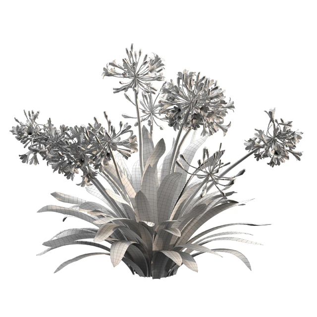 Agapanthus 02 — Descargar