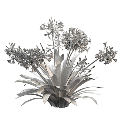 Agapanthus 02 — Ver 4