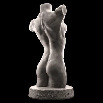 Female torso — Вид 2