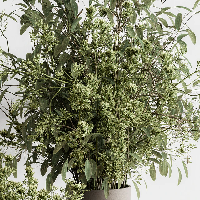 Vase and Plant Decorative Set - Set 126 — Скачать