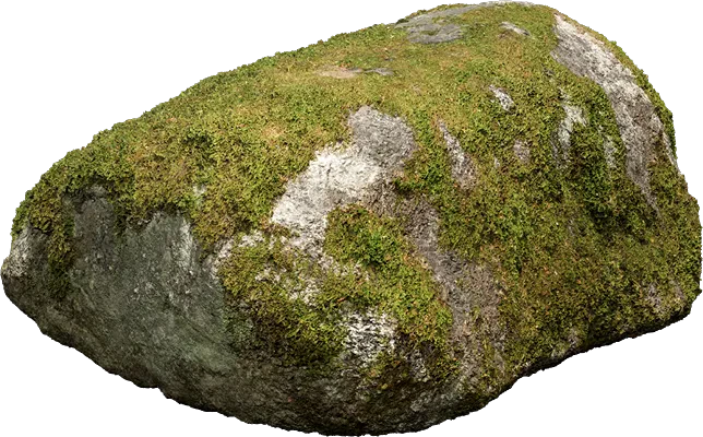 nordic forest rock small 002 — Скачать