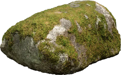nordic forest rock small 002 — Скачать