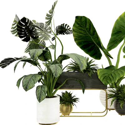 Plant Collection Set 07 — Вид 3