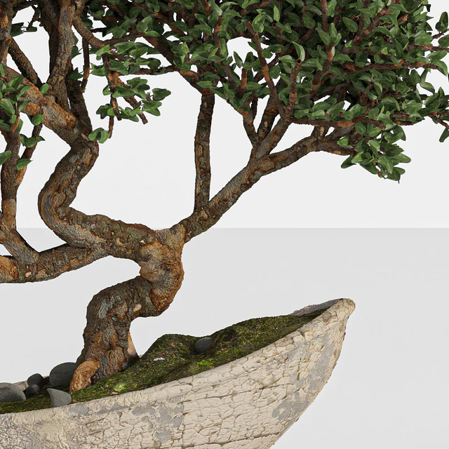 bonsai03 — Скачать