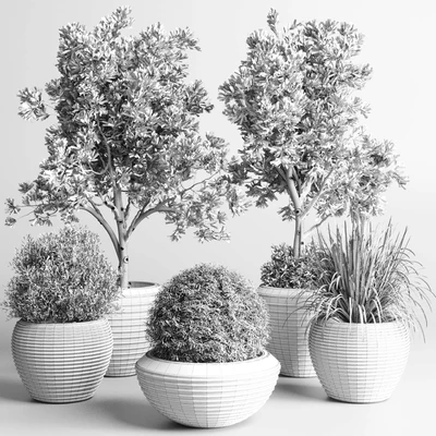 Collection indoor outdoor plant 120 plant tree grass vase dirty concrete — Ver 4