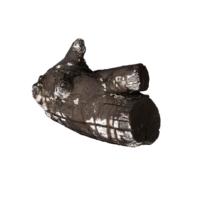 burnt firewood 008 — Скачать