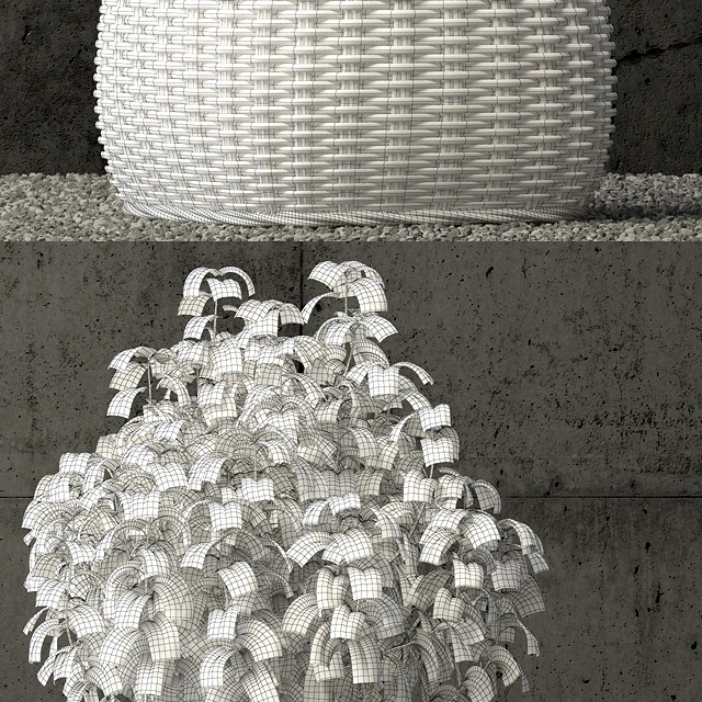 Plants collection 65 — Descargar