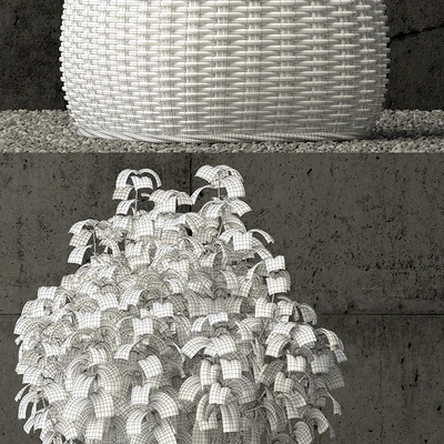 Plants collection 65 — Ver 3