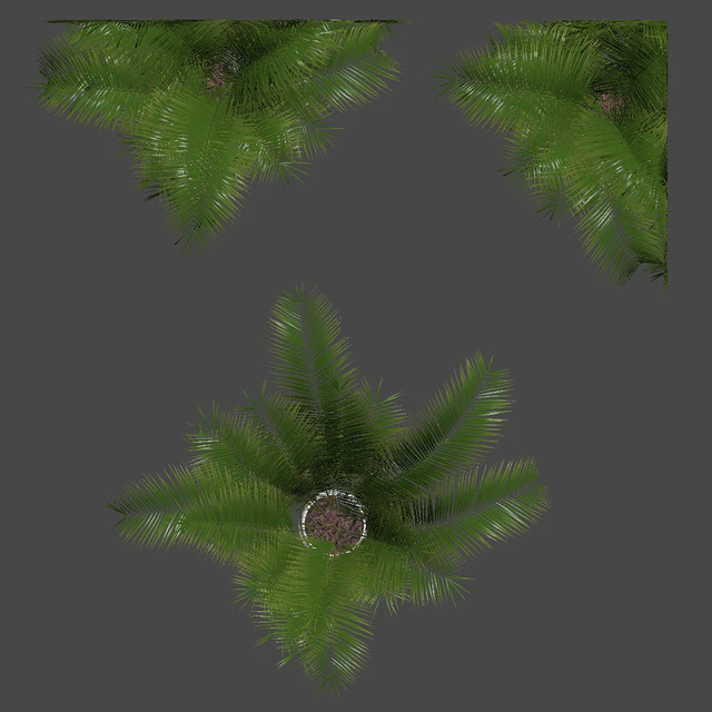 Plants collection 032 - Areca Palm Pack 1 — Descargar