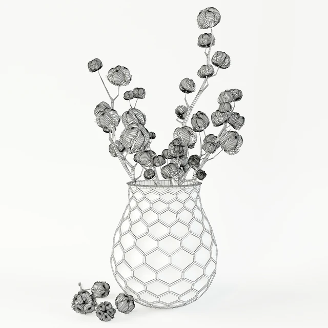 Cotton in a vase — Descargar