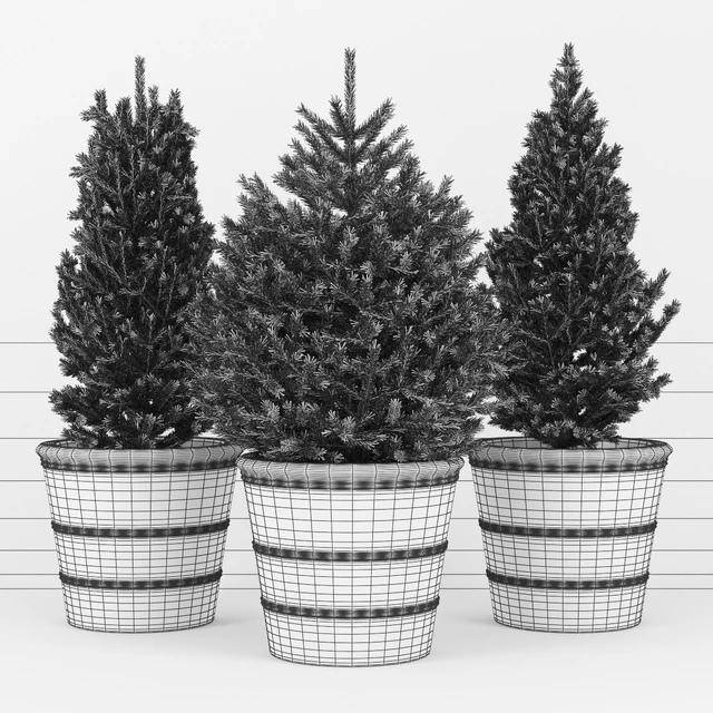 Fir tree — Descargar