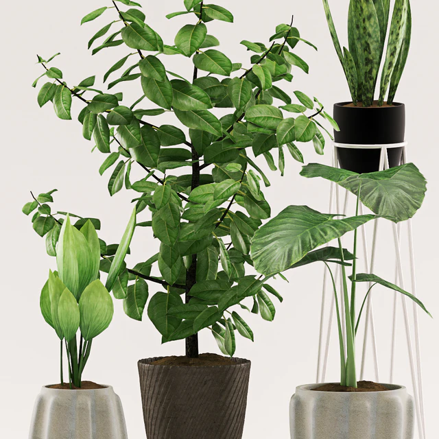 Plants 109 — Скачать