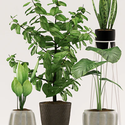 Plants 109 — Вид 2