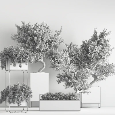 indoor plant set 39 — Ver 3