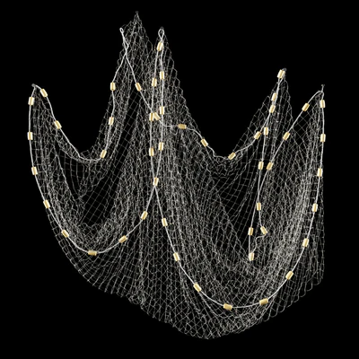 Fishnet — Ver 1