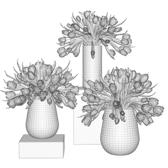 Red, pink and white tulips in glass vases — Descargar