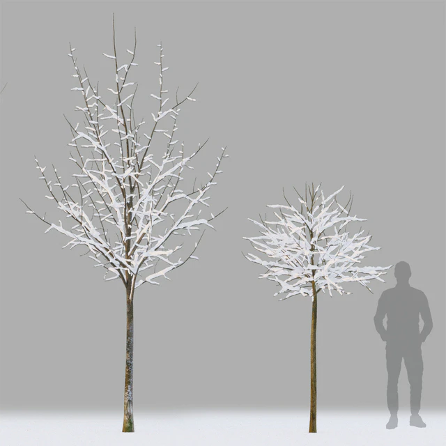Winter trees # 1 — Descargar