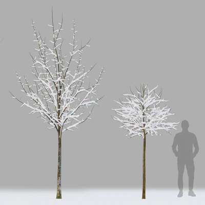 Winter trees # 1 — Ver 3