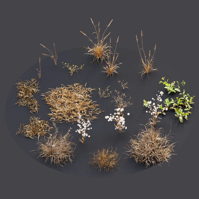 Dry meadow — Descargar