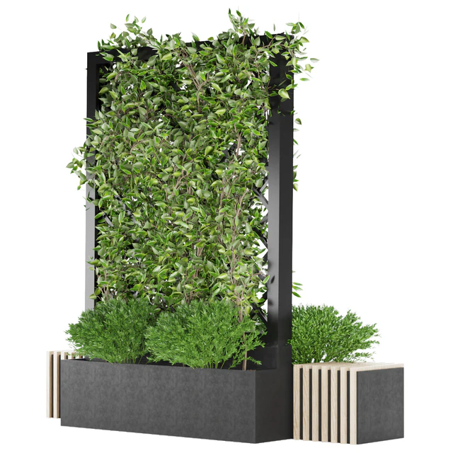 Collection plant vol 16 — Descargar
