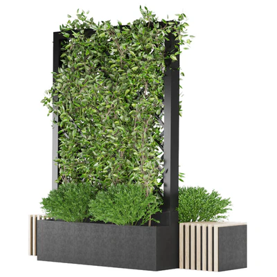 Collection plant vol 16 — Ver 3