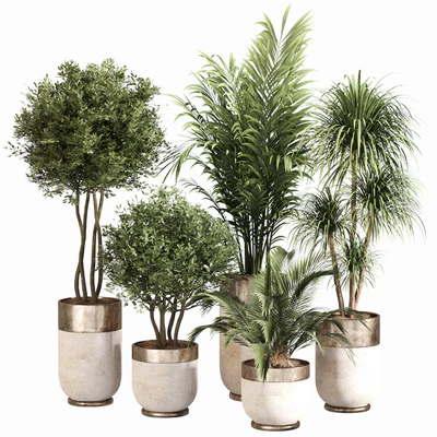 Indoor Plant Set 053 — Вид 1