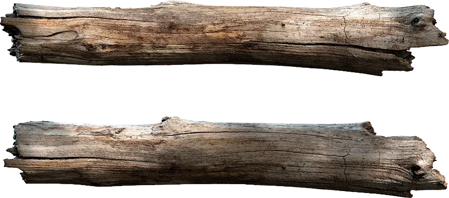 wooden branch 008 — Скачать