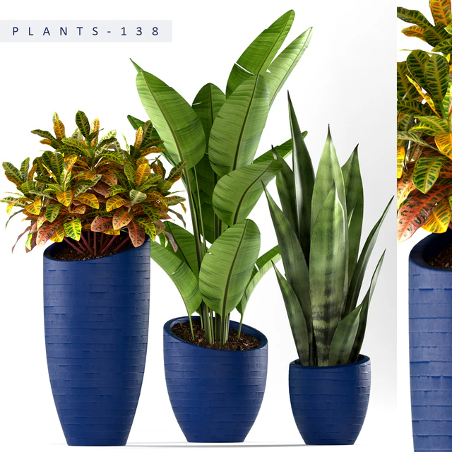 PLANTS 138 — Descargar