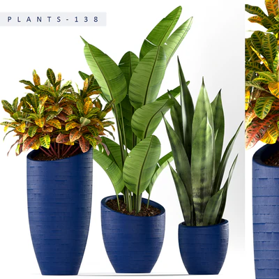 PLANTS 138 — Descargar