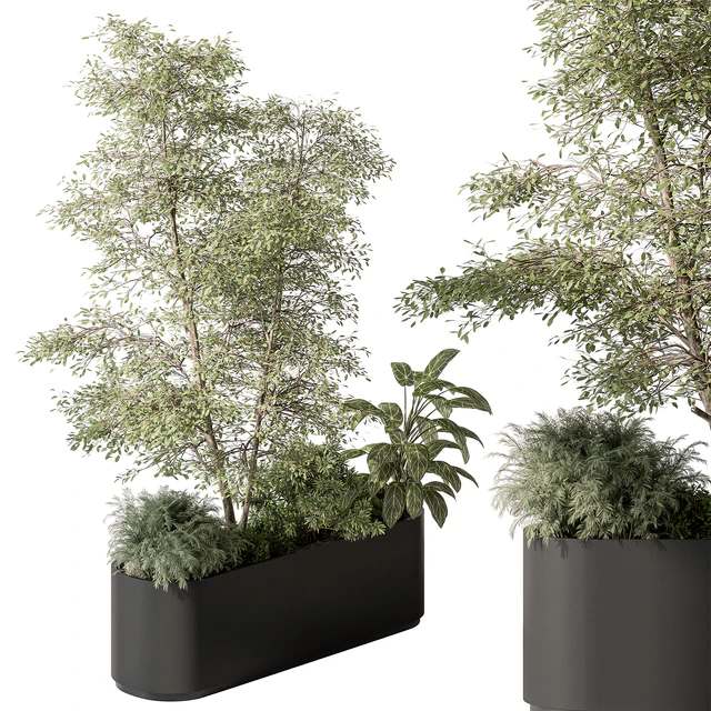 Plant Box - Outdoor Plants 515 — Скачать