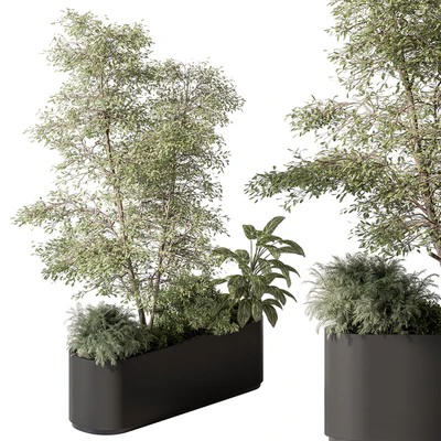 Plant Box - Outdoor Plants 515 — Вид 2