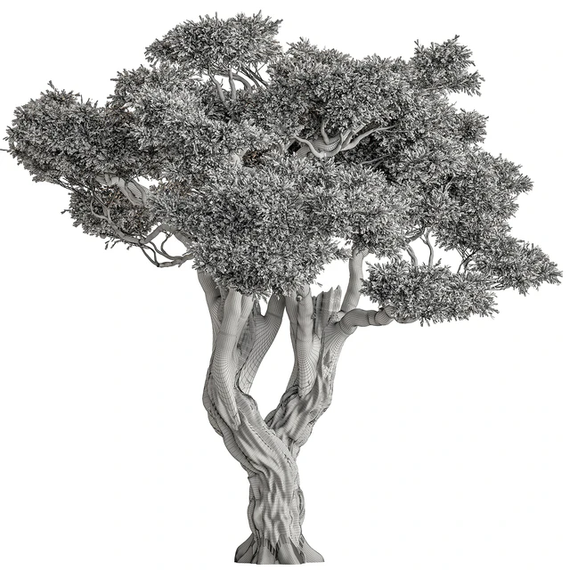 Ola Tree Set 294 — Скачать