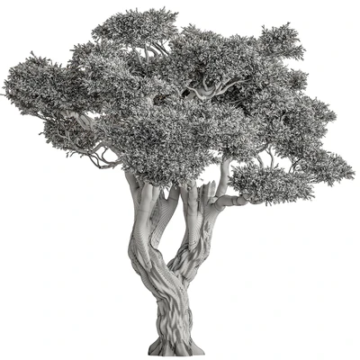 Ola Tree Set 294 — Вид 2