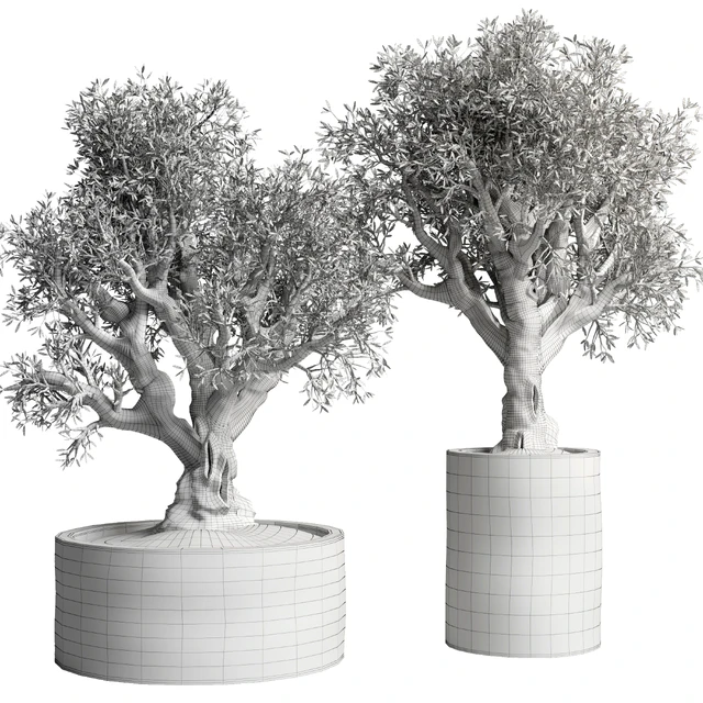 Collection outdoor plant 38 pot old olive tree concrete old vase — Descargar