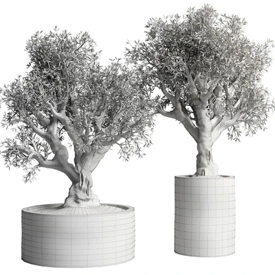 Collection outdoor plant 38 pot old olive tree concrete old vase — Ver 2