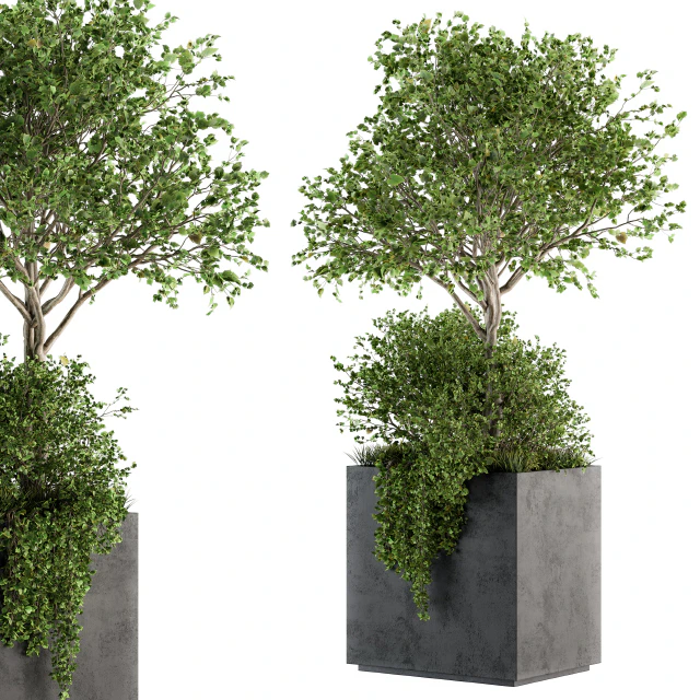 Outdoor Plants in Concrete Plant Box - Set 93 — Descargar
