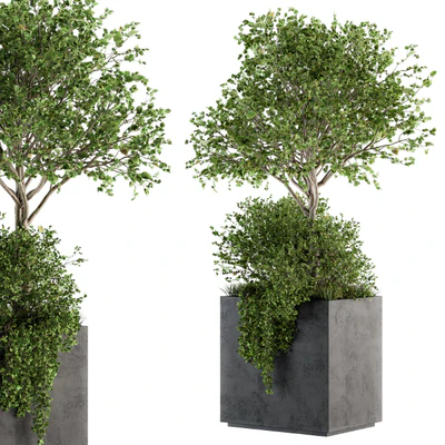 Outdoor Plants in Concrete Plant Box - Set 93 — Ver 2