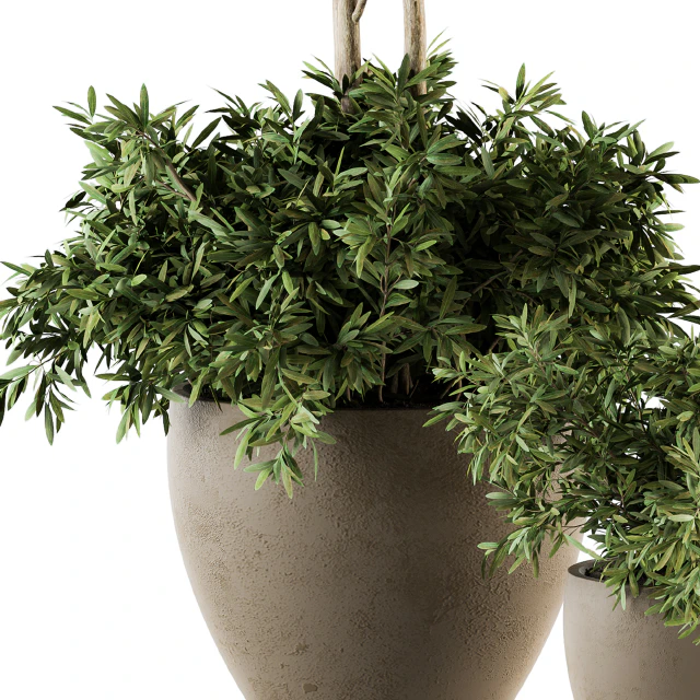 Outdoor Plant Set 203 - Plant and Tree in Pot — Descargar