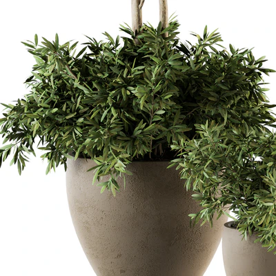 Outdoor Plant Set 203 - Plant and Tree in Pot — Ver 2