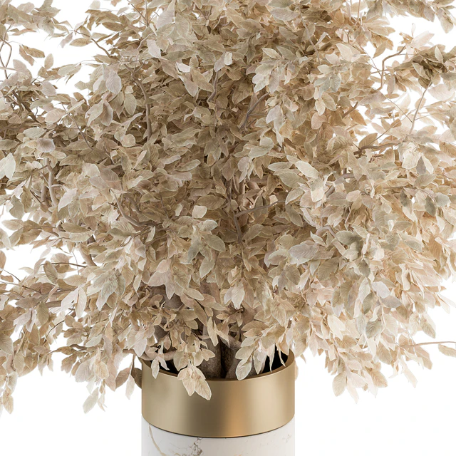 white and Gold Decorative Set with Dried plant - Set 106 — Descargar