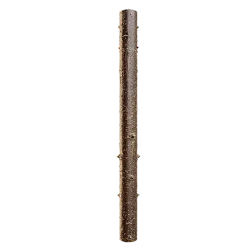hazel bark 003 — Скачать