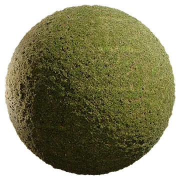 uncut grass 024 — Descargar