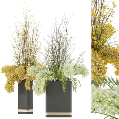 Collection plant vol 56 — Ver 2