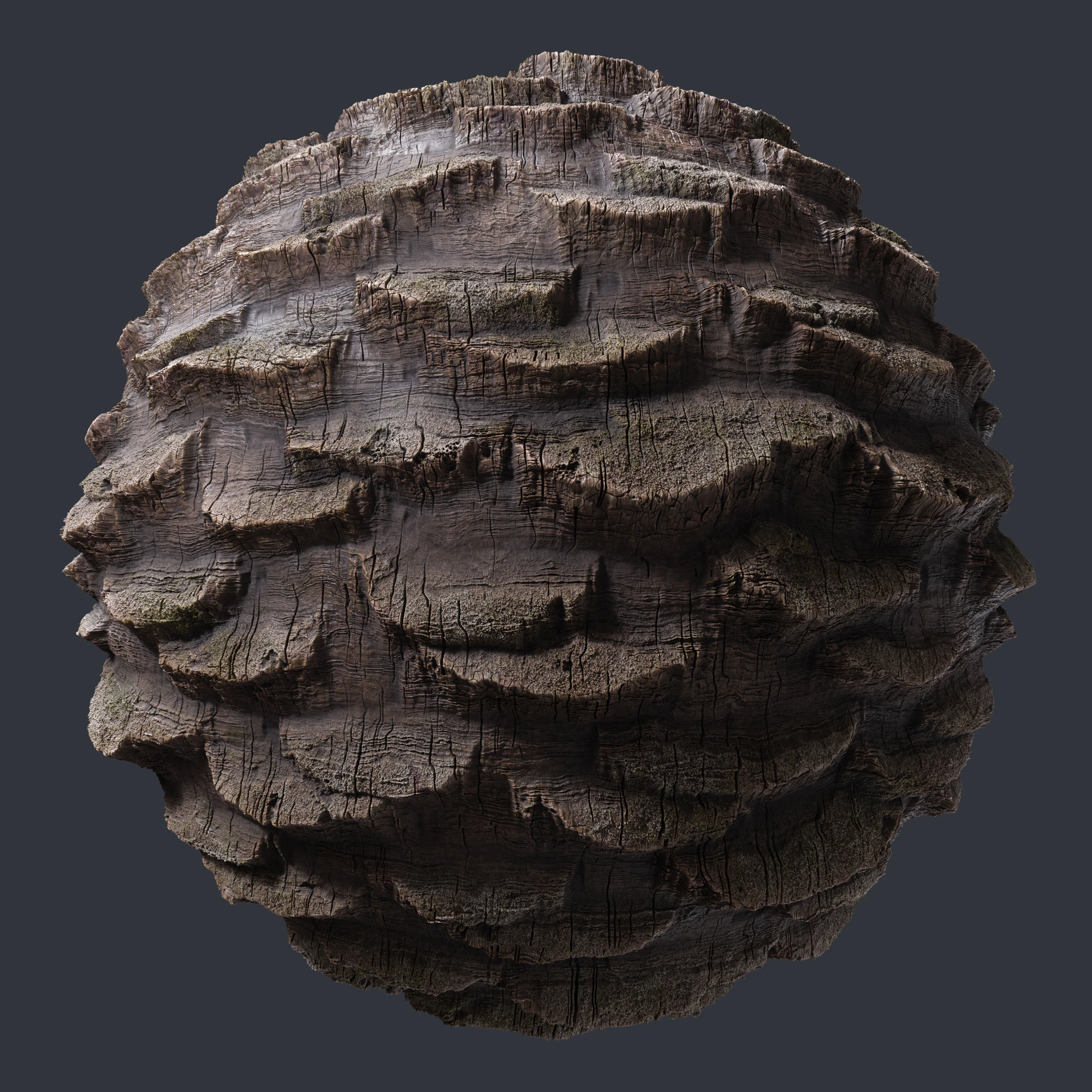 palm trunk 003 — Скачать