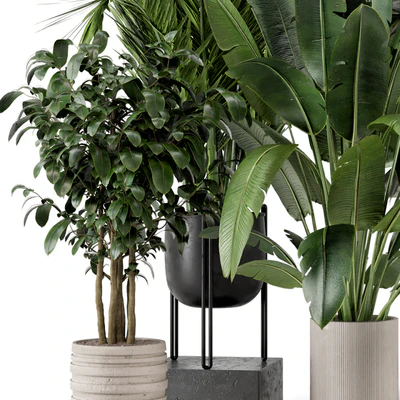 Indoor Plants in Ferm Living Bau Pot Large - Set 879 — Ver 3
