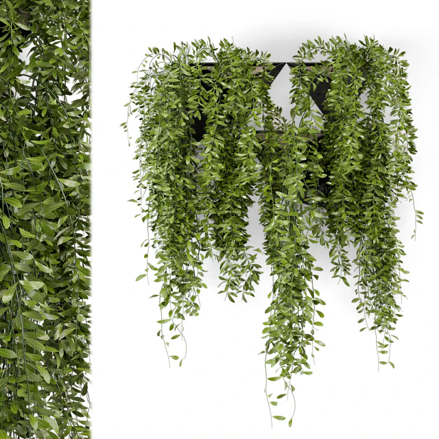Indoor Hanging Plants in Concrete Pot - Set 130 — Descargar