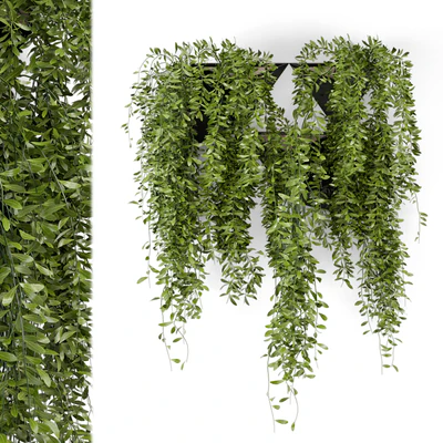 Indoor Hanging Plants in Concrete Pot - Set 130 — Ver 1